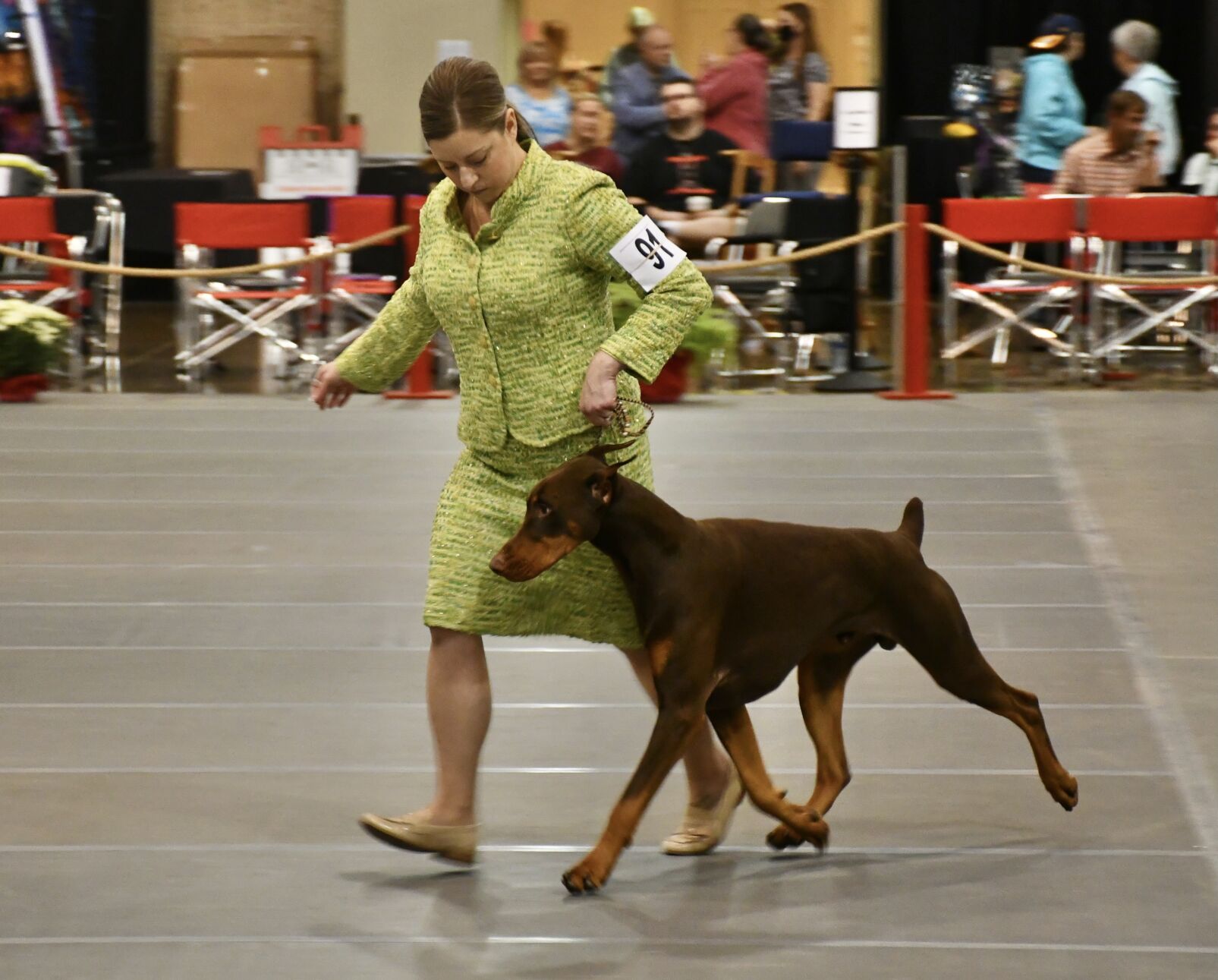 Dog show 1.JPEG